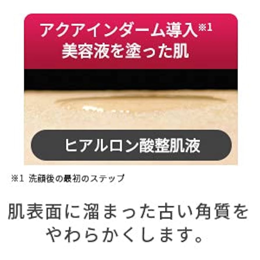 【限定価格】アクアインダーム導入エッセンスEX100ml 2本 アクアインダーム導入エッセンスEX100mL｜口コミ・効果もご紹介